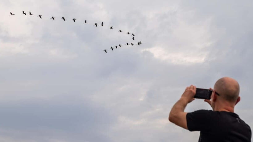 Siem Reap: Battambang Day Trip with French Tour Guide - Practical Tips for Travelers