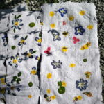 Siem Reap: Lotus Silk Farm - Guided Visit & 3 Craft Workshop - Practical Details & What to Know Before You Go