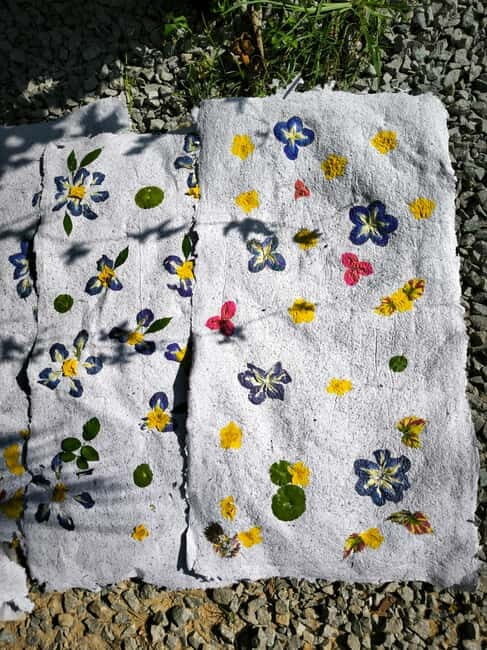 Siem Reap: Lotus Silk Farm - Guided Visit & 3 Craft Workshop - Practical Details & What to Know Before You Go