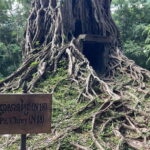 Siem Reap to Explore Sambor Prey Kuk: Hidden Treasures - Practical Details and Tips