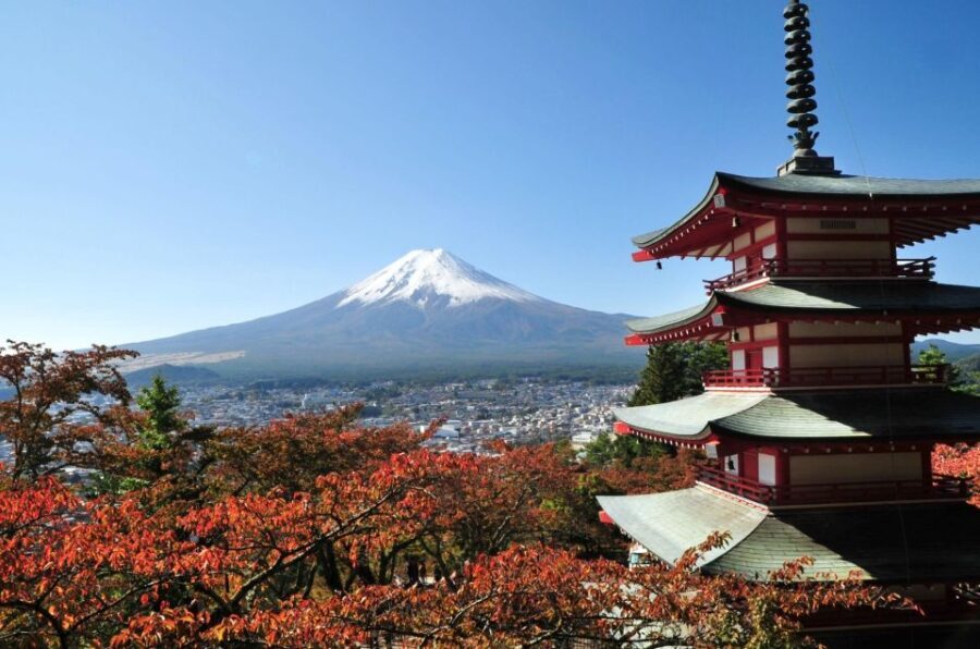 Sightseeing Day Trip to Mount Fuji and Hakone Green Number - An In-Depth Look at the Itinerary