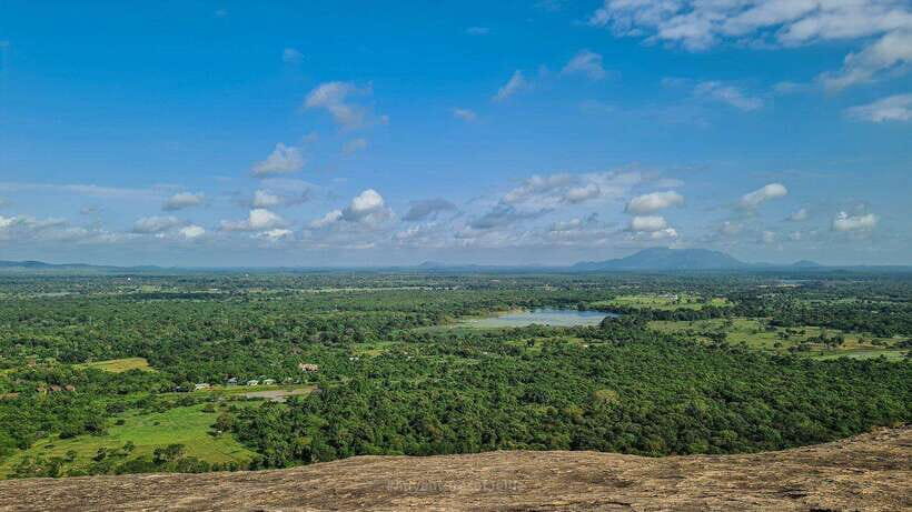 Sigiriya, Dambulla & Safari Day Tour from Colombo - An In-Depth Look at the Tour Experience
