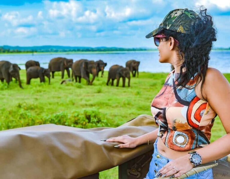 Sigiriya: Kaudulla National Park Safari  Elephants & Birds - What Does This Tour Mean for You?