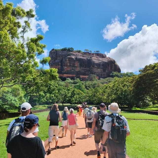 Sigiriya: Lion Rock & Minneriya Safari Full Day Private Tour - The Itinerary in Detail