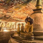 Sigiriya Rock and Dambulla Temples Day Trip - Whats Included and What to Expect