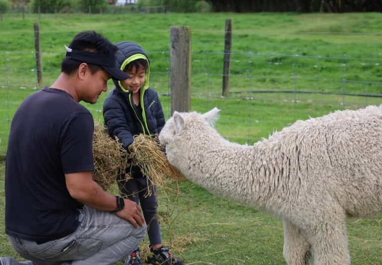 Silverstream Alpaca Farm Tour with Feeding and Guide - Tour Duration and Schedule