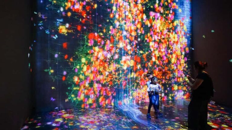 Singapore: ArtScience Museum® teamLab Future World - Who Should Visit?