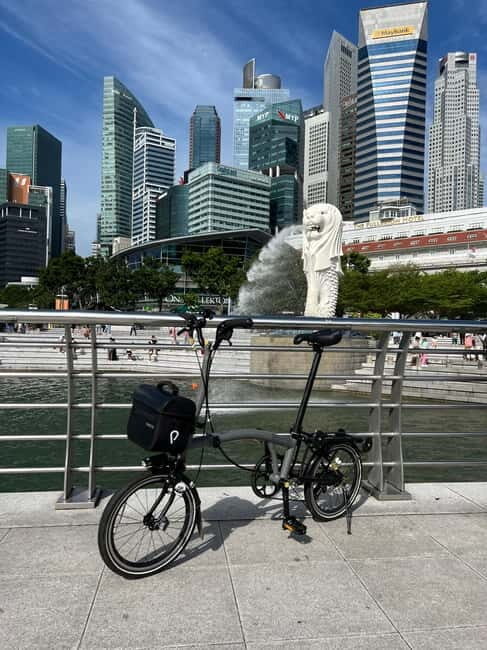 Singapore Brompton Bike Tour from Rail Corridor, with food! - Why This Tour Works Well for Travelers