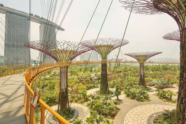 Singapore: Gardens by the Bay Admission E-Ticket - The Practicalities of Your Visit