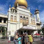 Singapore: Private Car Tour with Local Driver/Guide - Who Should Consider This Tour?