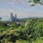 Singapore: Private Full-Day Island Tour - Evaluating the Value