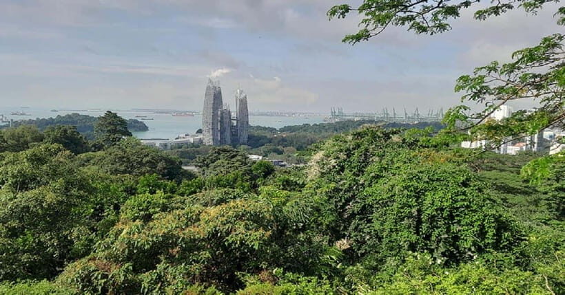 Singapore: Private Full-Day Island Tour - Evaluating the Value