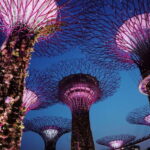 Singapore: Private Tour with a Driver - What Sets This Tour Apart