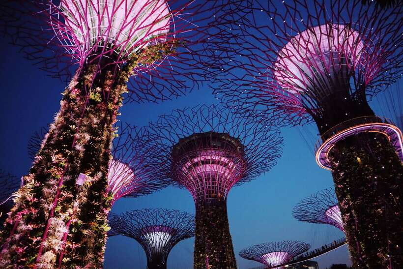 Singapore: Private Tour with a Driver - What Sets This Tour Apart