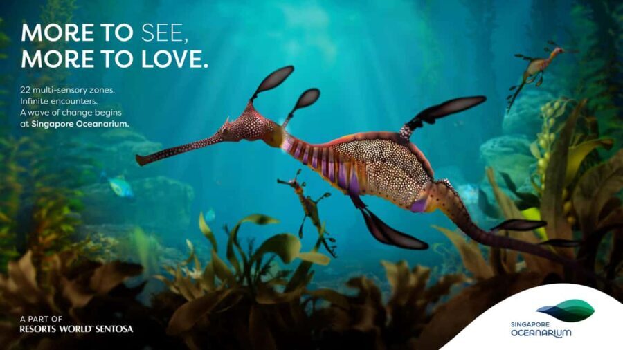 Singapore: Singapore Oceanarium Entrance Ticket - Good To Know