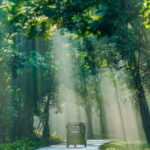 Skip Climbing Sigiriya Lions Rock  Relaxing Tuk Tuk Safari - What to Expect from the Sigiriya Tuk Tuk Safari