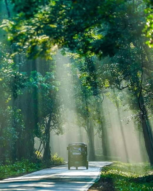 Skip Climbing Sigiriya Lions Rock  Relaxing Tuk Tuk Safari - What to Expect from the Sigiriya Tuk Tuk Safari