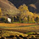 Small Batch Private Wine Experience in Gibbston, Queenstown. - Who Is This Tour Best For?