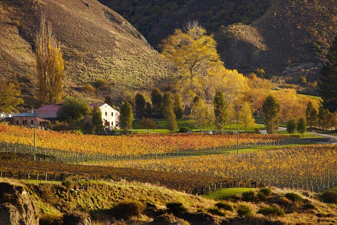 Small Batch Private Wine Experience in Gibbston, Queenstown. - Who Is This Tour Best For?