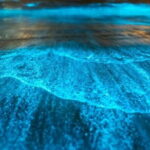 Small Group Bioluminescent Canoe&Twilight Adventure Phang Nga Bay - Practical Tips for Making the Most of This Tour