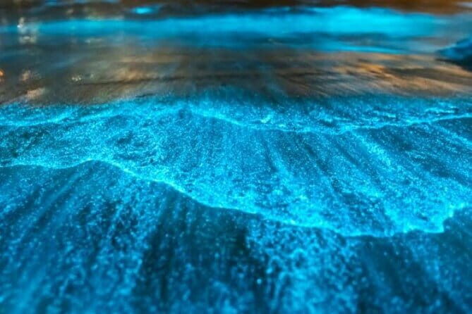 Small Group Bioluminescent Canoe&Twilight Adventure Phang Nga Bay - Practical Tips for Making the Most of This Tour