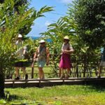 Small Group Shared Half Day Tahiti Tour Waterfalls&Scenic Coast - Transportation and Logistics