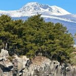 Small Group Tour in South Jeju including Yacht, Falls & Mt.Halla - In-Depth Look at the Tour Experience