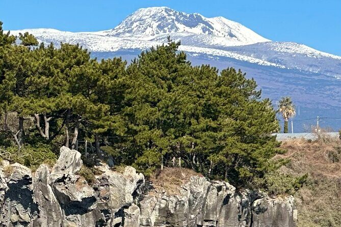 Small Group Tour in South Jeju including Yacht, Falls & Mt.Halla - In-Depth Look at the Tour Experience