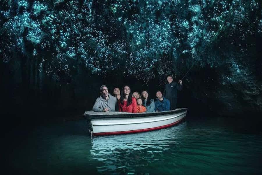 Small-Group Waitomo Glowworm Caves Day Tour from Auckland - Is the Tour Worth It?
