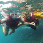 Snorkel trip + natural pool Bávaro - What to Expect from the Tour