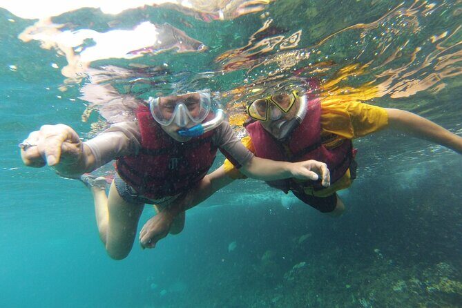 Snorkel trip + natural pool Bávaro - What to Expect from the Tour