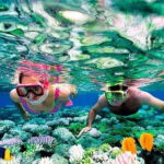 Snorkeling at Pigeon Island Trincomalee - Overview of the Snorkeling Experience