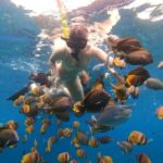 Snorkeling In Nusa Penida Island With Manta Ray From Bali - Detailed Breakdown of the Itinerary