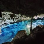 Snorkeling in the Cenotes of Bayahibe - What to Expect: The Itinerary in Detail