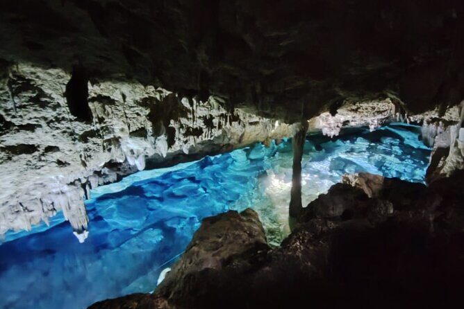 Snorkeling in the Cenotes of Bayahibe - What to Expect: The Itinerary in Detail