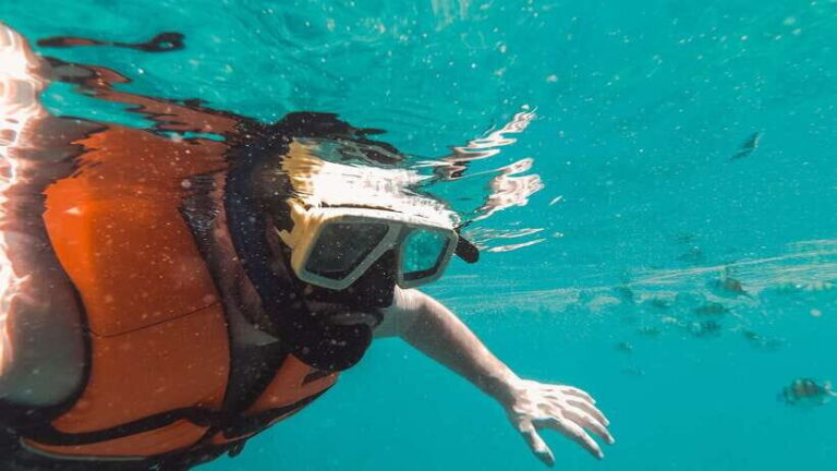 Snorkeling in Unawatuna - The Value: Is It Worth $49?