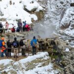 Snow Monkey Park & Zenkoji Private Tour (Customizable) - Deep Dive into the Itinerary