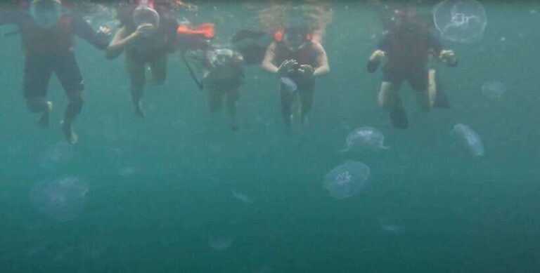 Sohoton Cove: Swim with Jellyfish & Explore Hidden Lagoons - A Detailed Breakdown of the Itinerary