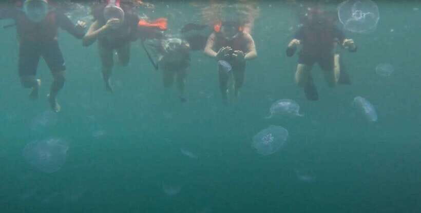 Sohoton Cove: Swim with Jellyfish & Explore Hidden Lagoons - A Detailed Breakdown of the Itinerary