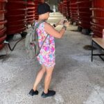 South Island Highlights Tour with Hon Thom Cable Car - What to Expect from the Transport and Guide