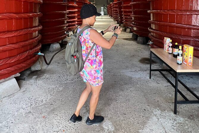 South Island Highlights Tour with Hon Thom Cable Car - What to Expect from the Transport and Guide