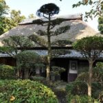 Southern Kyoto and Mie Iga Sightseeing and Rail Pass 1 Day Ticket - Exploring Iga Ueno Castle