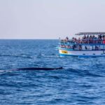 Southern Seas Discovery: Galle to Whale Watching Mirissa - Detailed Breakdown of the Itinerary