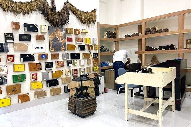 Souvenir Shopping Tour in Punta Cana Pickup Included - What is the Souvenir Shopping Tour in Punta Cana?