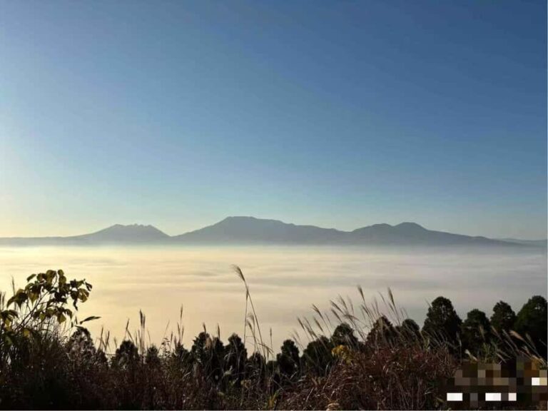 Spectrum of the Seas- Kumamoto Shore Excursion with Guide - What This Tour Means for You