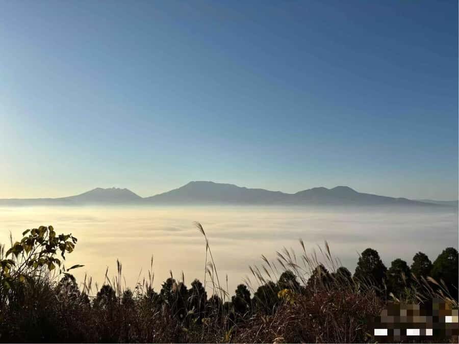 Spectrum of the Seas- Kumamoto Shore Excursion with Guide - What This Tour Means for You