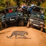 Sri Lanka 3-Day Yala Safari  Ella  Cultural Highlights - Day 2: From Wilderness to Mountain Serenity
