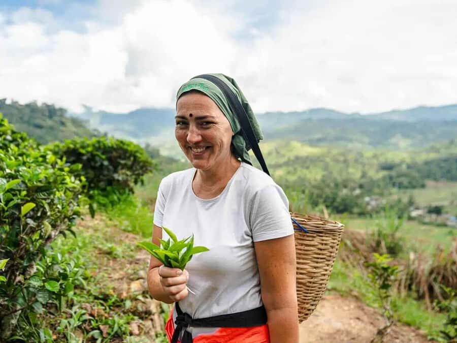 Sri Lanka: 4-Day British Ceylon Tea Trail Tour with Hotels - Practicalities and Value