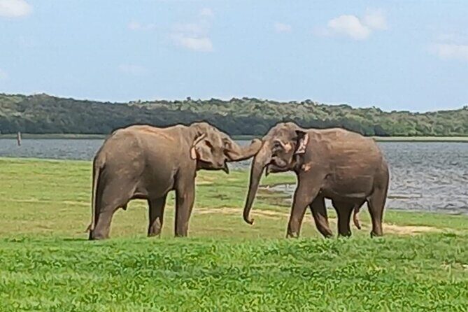 Sri Lanka Adventure Tour Jeep Safaris and Village Experience - Practical Details and What They Mean for You