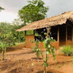 Sri Lanka: Ceylon Cinnamon Experience & Spice Garden Tour - The Itinerary and Highlights in Detail